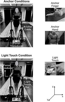 Additional Haptic Information Provided by Anchors Reduces Postural Sway in Young Adults Less Than Does Light Touch